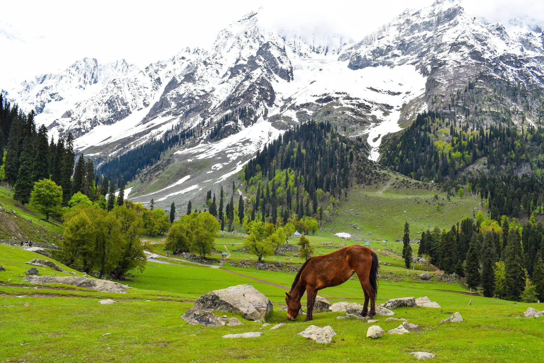 Hotels and stays in Kashmir